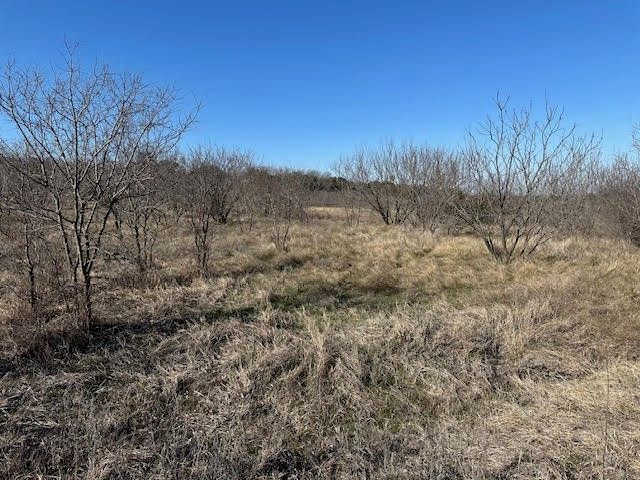 1050 Spotted Owl Court, Graford, TX 76449