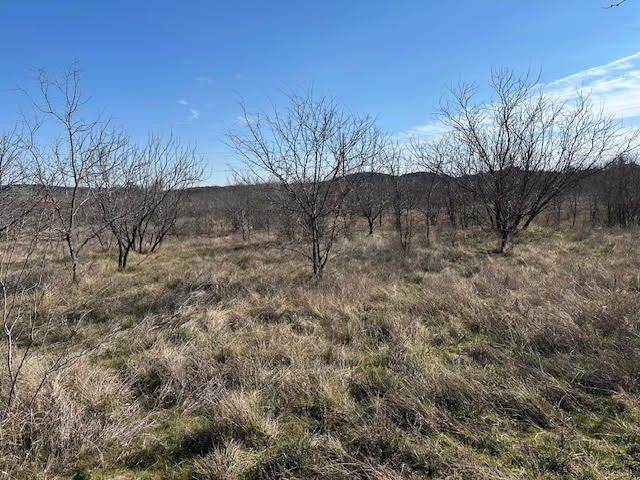 1050 Spotted Owl Court, Graford, TX 76449