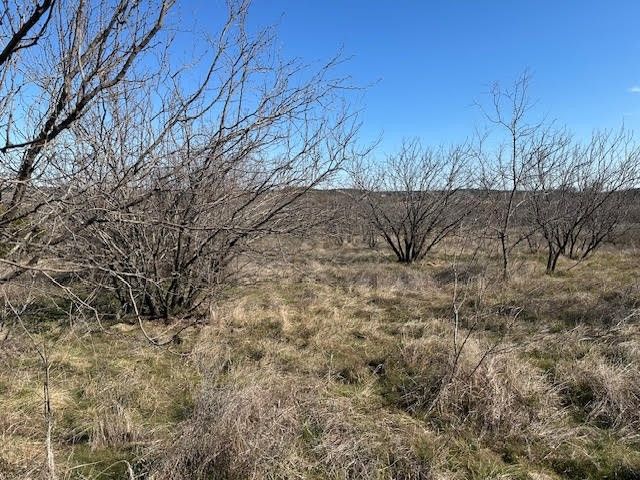1050 Spotted Owl Court, Graford, TX 76449