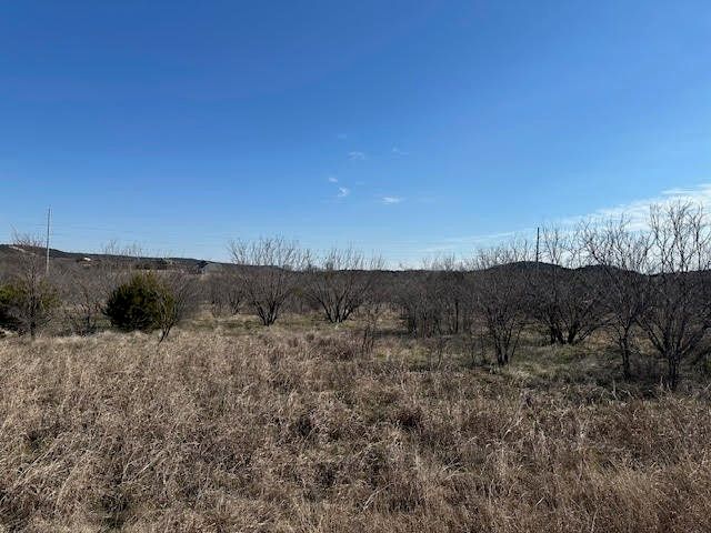 1050 Spotted Owl Court, Graford, TX 76449