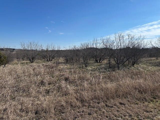 1050 Spotted Owl Court, Graford, TX 76449