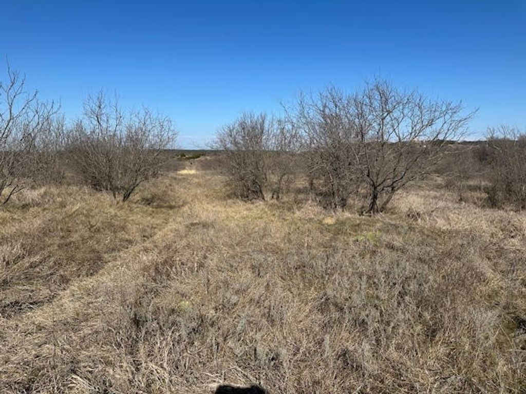 1050 Spotted Owl Court, Graford, TX 76449