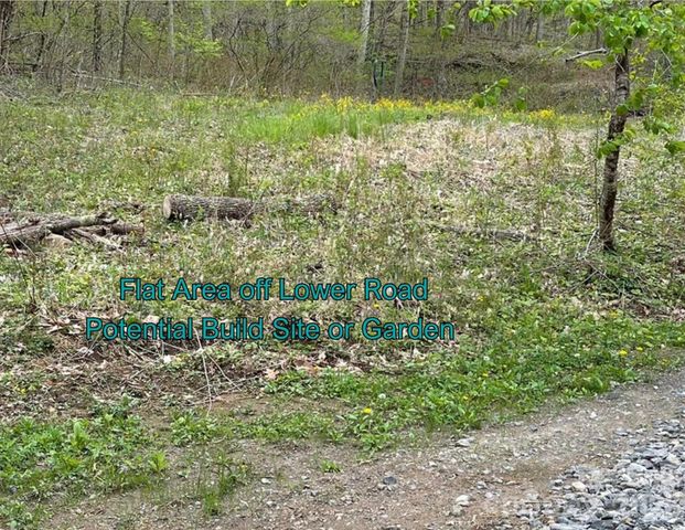 130 Gavin Glenn Road, Weaverville, NC 28787