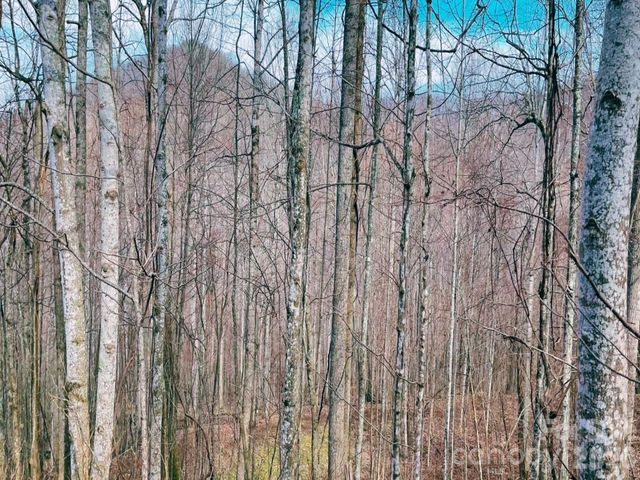 130 Gavin Glenn Road, Weaverville, NC 28787