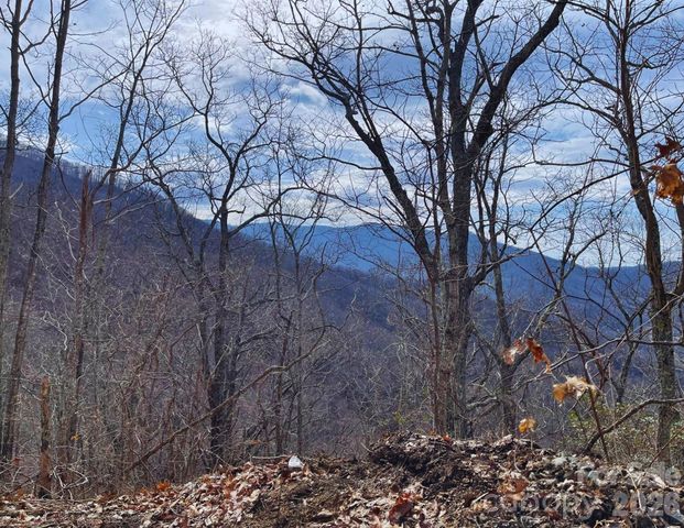 130 Gavin Glenn Road, Weaverville, NC 28787
