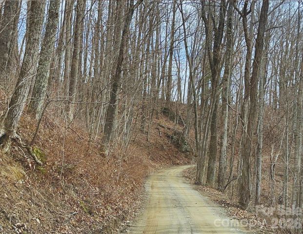 130 Gavin Glenn Road, Weaverville, NC 28787