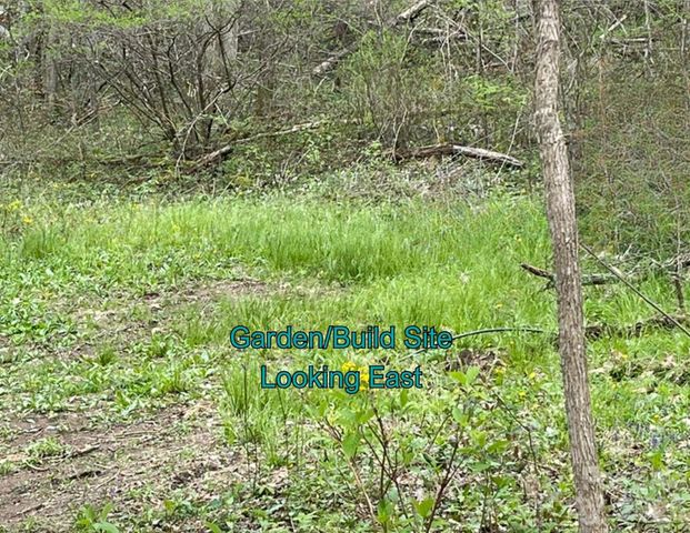 130 Gavin Glenn Road, Weaverville, NC 28787