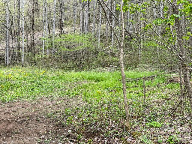 130 Gavin Glenn Road, Weaverville, NC 28787
