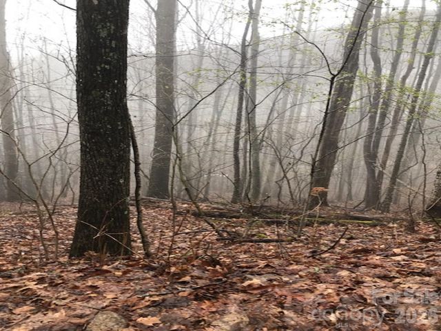 130 Gavin Glenn Road, Weaverville, NC 28787