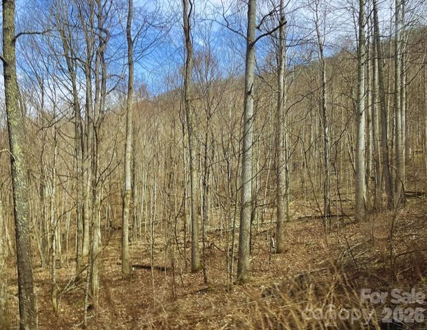 130 Gavin Glenn Road, Weaverville, NC 28787