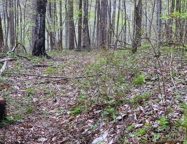 130 Gavin Glenn Road, Weaverville, NC 28787