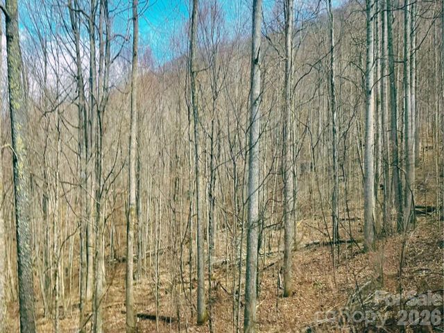 130 Gavin Glenn Road, Weaverville, NC 28787