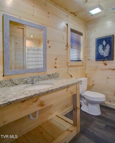 817 String Run Way, Pigeon Forge, TN 37863