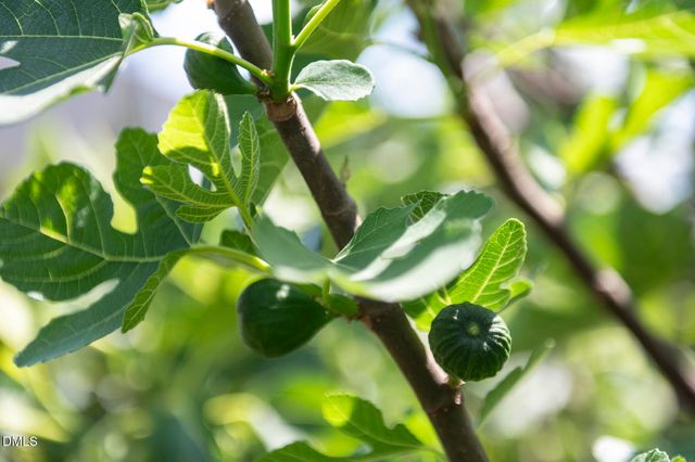 2629 Fortrose Lane, Fuquay Varina, NC 27526