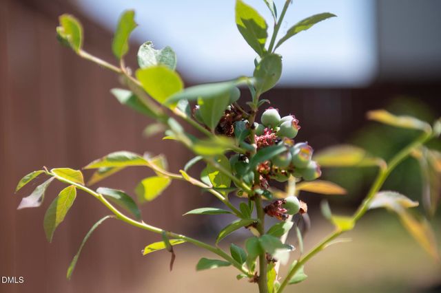 2629 Fortrose Lane, Fuquay Varina, NC 27526