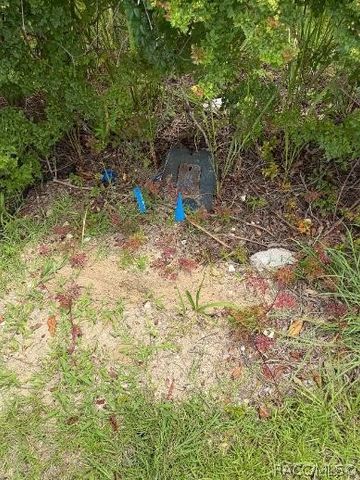 2662 E Norvell Bryant Highway, Hernando, FL 34442