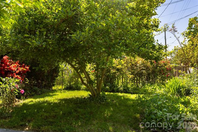 15 Walton Street, Asheville, NC 28801