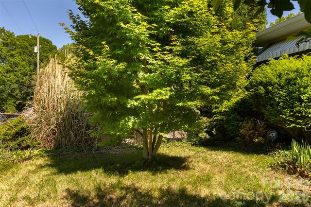15 Walton Street, Asheville, NC 28801
