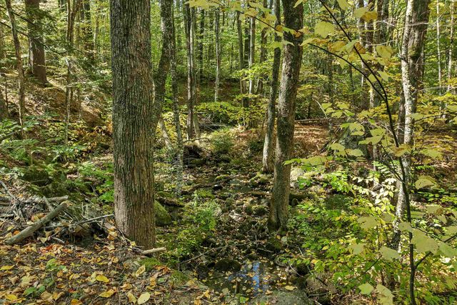 26 Butman Road, Bradford, NH 03221