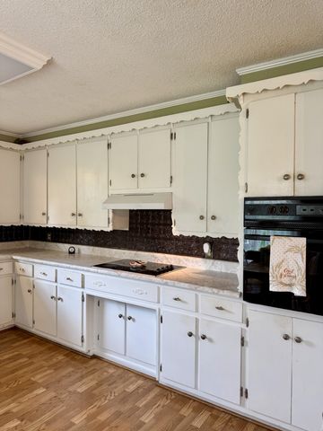 301 W College St, Summertown, TN 38483