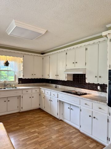 301 W College St, Summertown, TN 38483