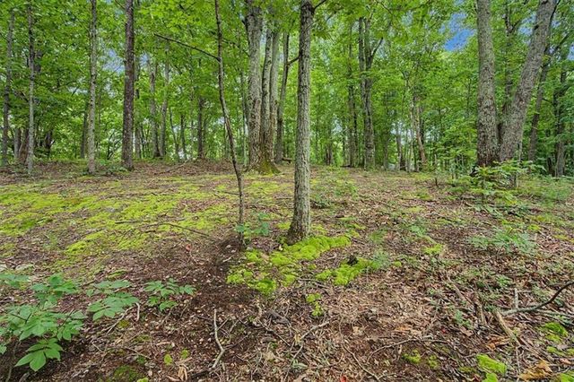 1230 Red Bud Drive, Marietta, GA 30062