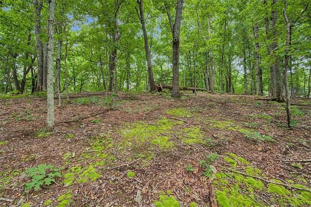 1230 Red Bud Drive, Marietta, GA 30062