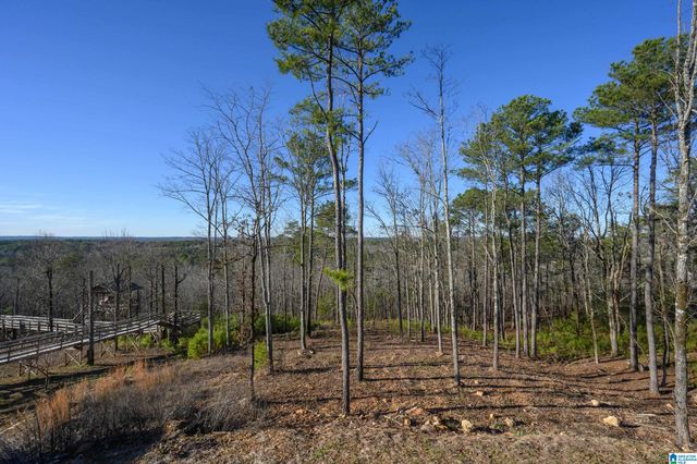 7733 SPRINGER ROAD, Mccalla, AL 35111