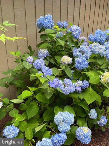 11110 WILLOW BOTTOM DR, Columbia, MD 21044