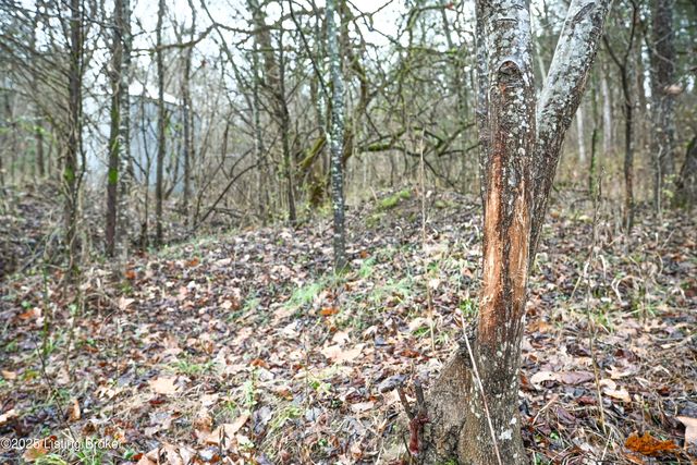 2855 Greenwell Ford Rd, Shepherdsville, KY 40165