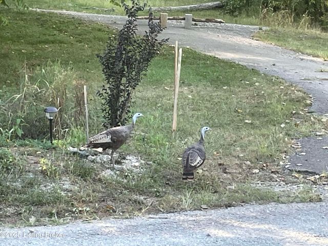 2855 Greenwell Ford Rd, Shepherdsville, KY 40165