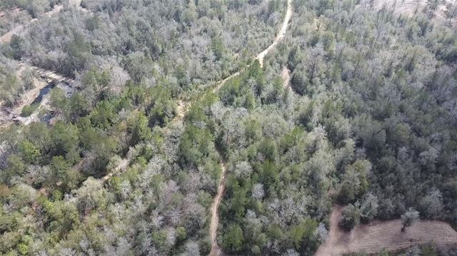 0 Chunchula-Georgetown Road, Chunchula, AL 36521