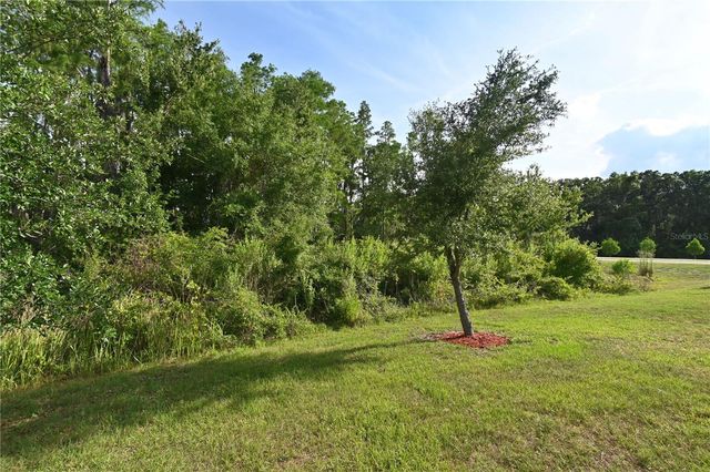 1052 MANZANAR PLACE, Wesley Chapel, FL 33543