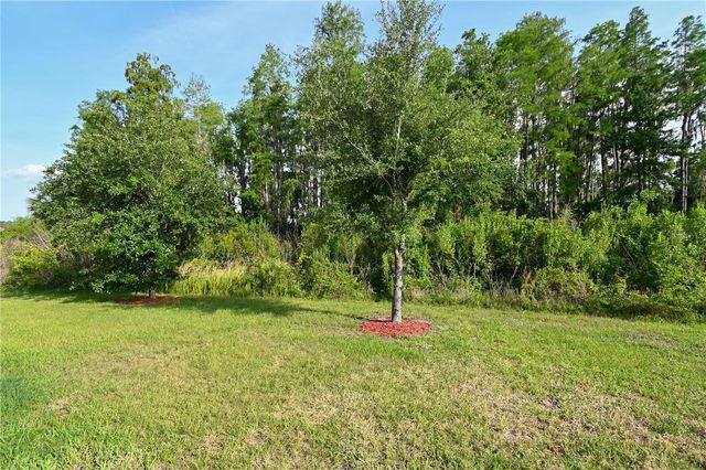 1052 MANZANAR PLACE, Wesley Chapel, FL 33543
