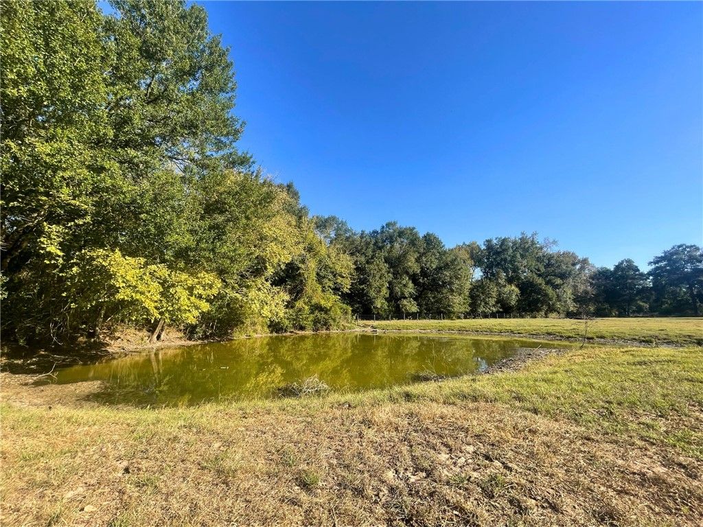 6014 County Road 333, Caldwell, TX 77836 — photo 2