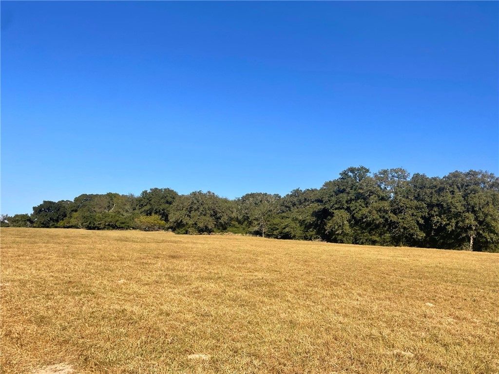 6014 County Road 333, Caldwell, TX 77836 — photo 5