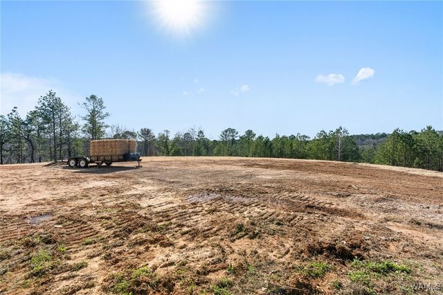 14091 Indian Creek Cutoff Rd, Duncanville, AL 35456