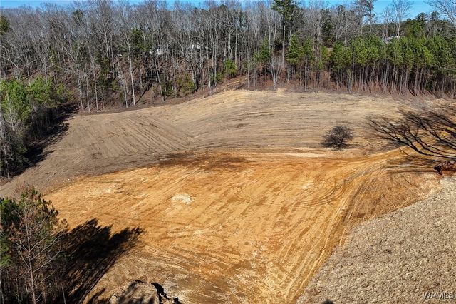 14091 Indian Creek Cutoff Rd, Duncanville, AL 35456