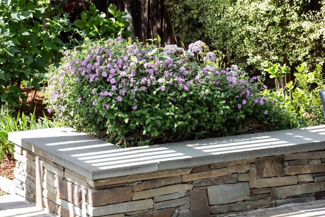 384 Hawthorne Avenue, Los Altos, CA 94022