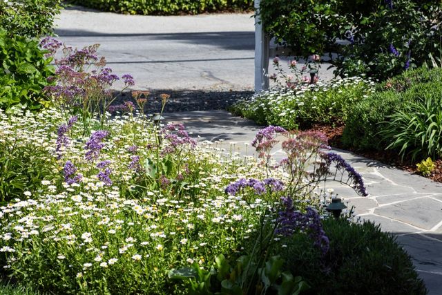 384 Hawthorne Avenue, Los Altos, CA 94022