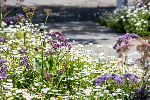 384 Hawthorne Avenue, Los Altos, CA 94022