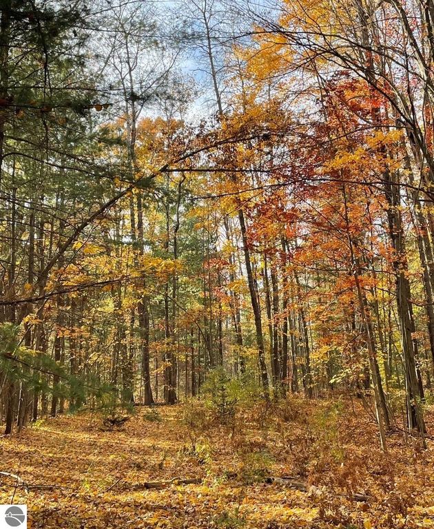 Image 7 of property listing at 6114 Indian Lake Drive, Gladwin, MI 48624