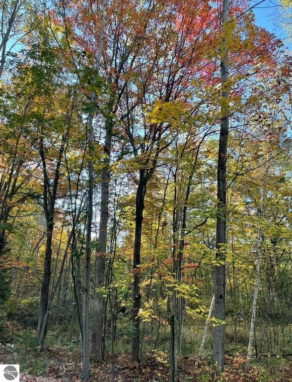 Image 8 of property listing at 6114 Indian Lake Drive, Gladwin, MI 48624