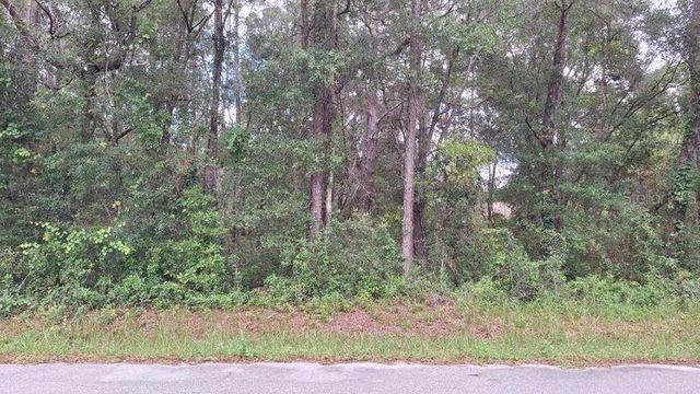 788 N CHARLES AVENUE, Inverness, FL 34453