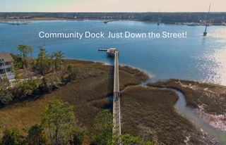 349 Blowing Fresh Drive, Wando, SC 29492