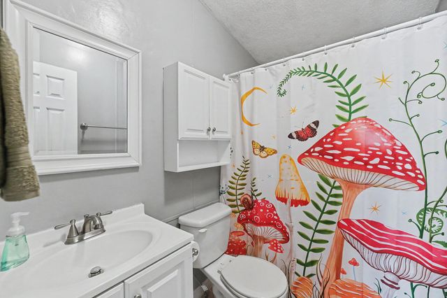 254 Grapevine Road, Summerville, SC 29483