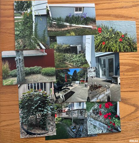 458 W PINE Street, Canton, IL 61520