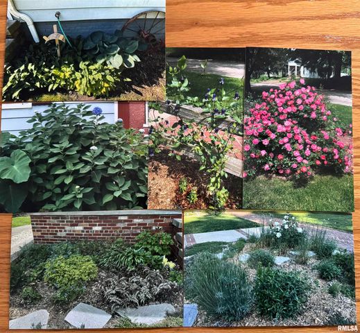 458 W PINE Street, Canton, IL 61520