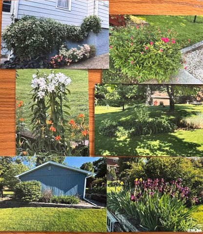 458 W PINE Street, Canton, IL 61520