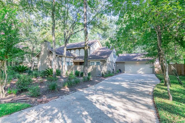 10 Coralvine Court, The Woodlands, TX 77380